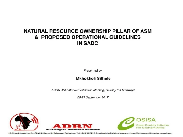 NATURAL RESOURCE OWNERSHIP PILLAR OF ASM  &amp;  PROPOSED OPERATIONAL GUIDELINES IN SADC