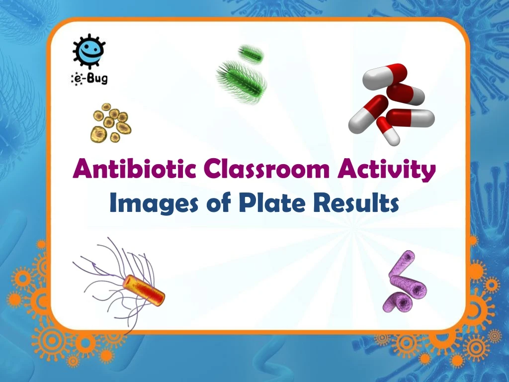 antibiotic classroom activity images of plate results