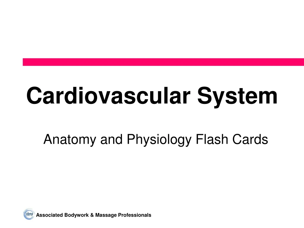 cardiovascular system