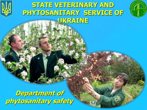 Department of phytosanitary safety