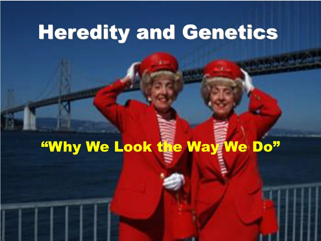 heredity and genetics