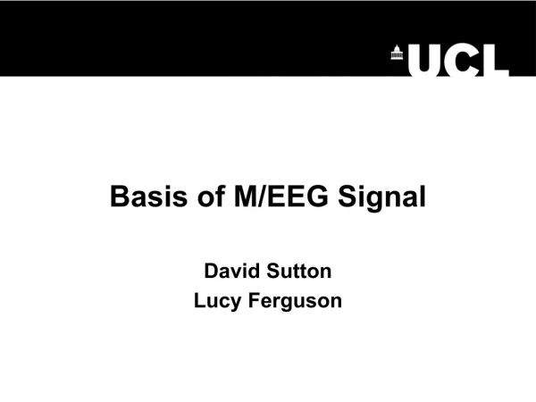 Basis of M/EEG Signal