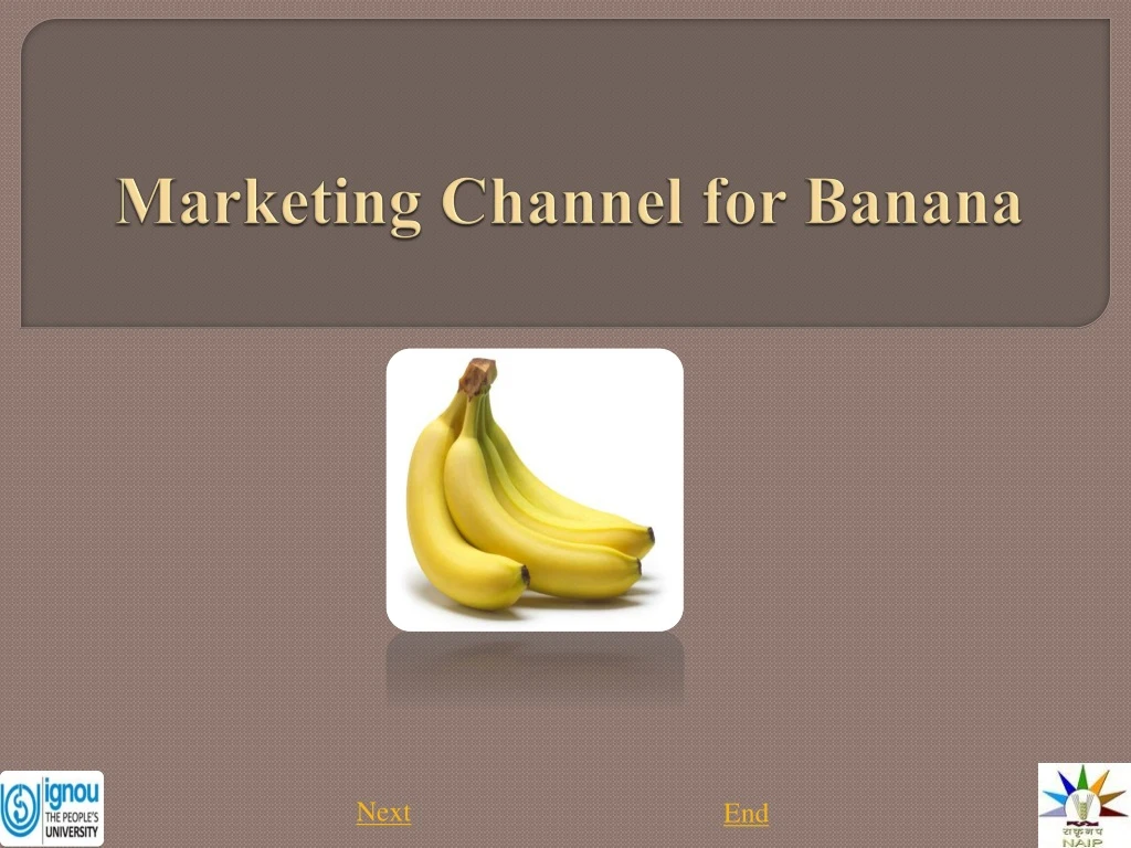 marketing channel for banana