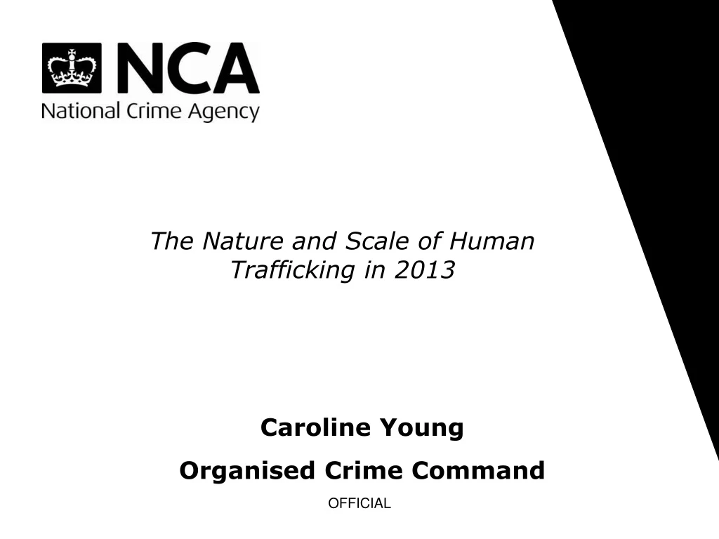 the nature and scale of human trafficking in 2013