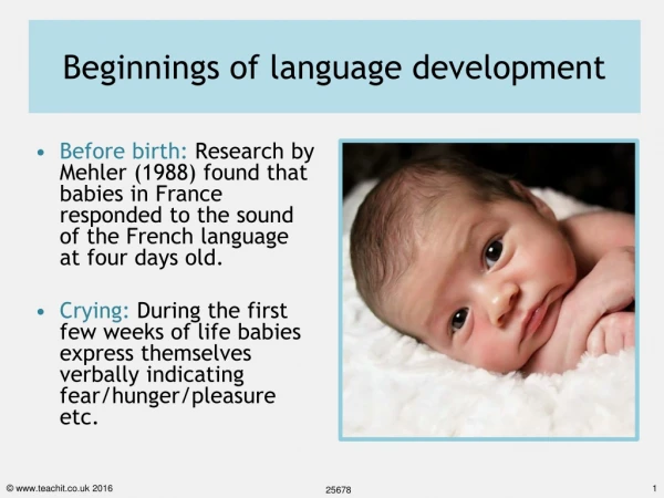 Beginnings of language development