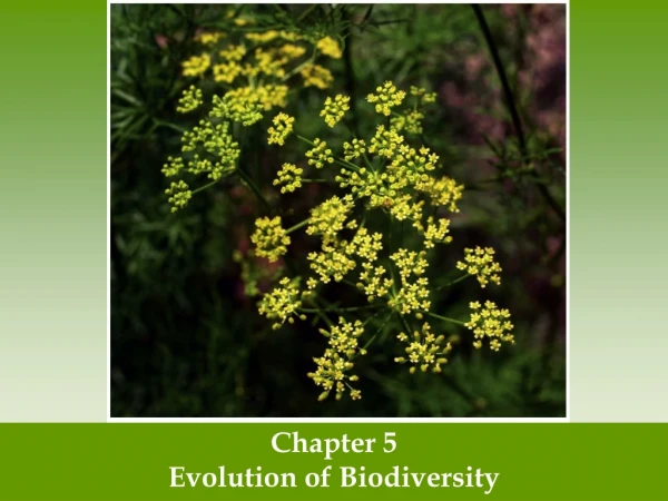 Chapter 5 Evolution of Biodiversity