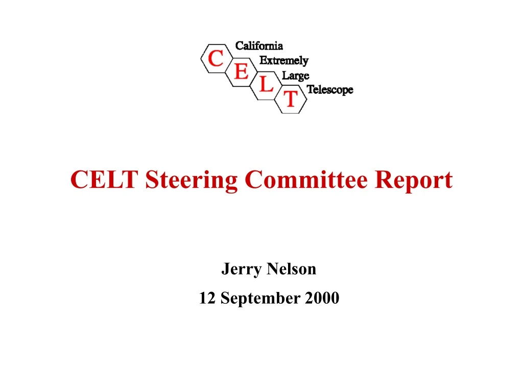celt steering committee report