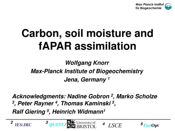 Carbon, soil moisture and fAPAR assimilation