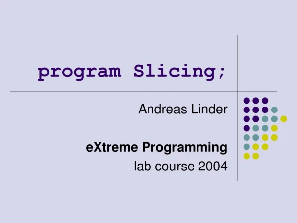 program Slicing;