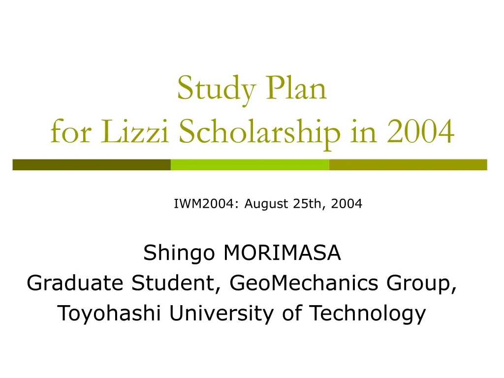 study plan for lizzi scholarship in 2004