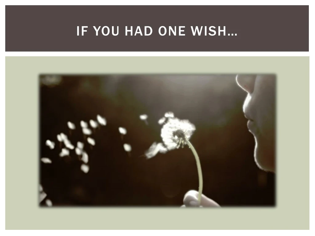 if you had one wish