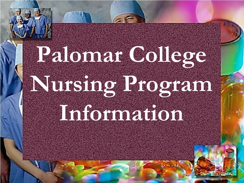 palomar college nursing program information