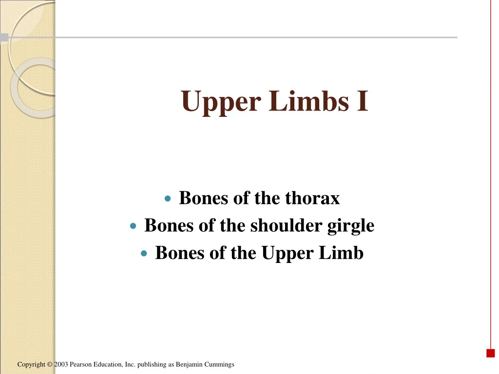 upper limbs i