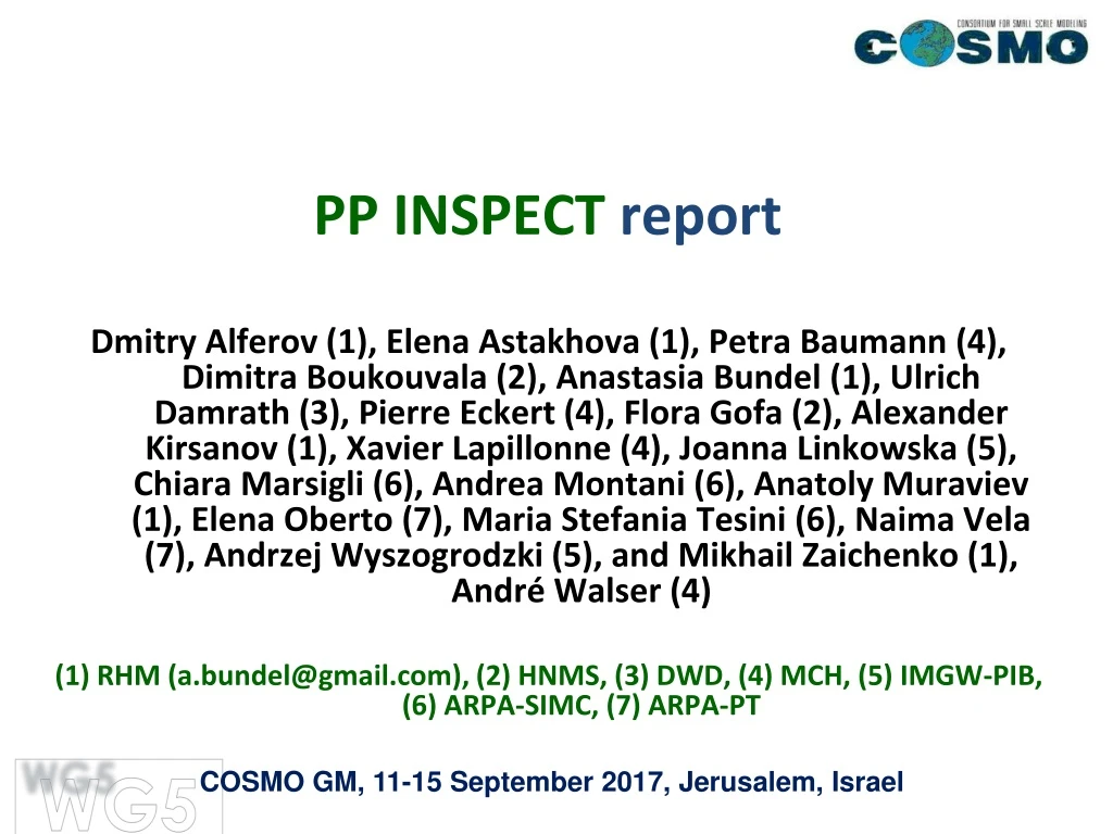 pp inspect report