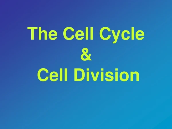 The Cell Cycle  &amp;  Cell Division