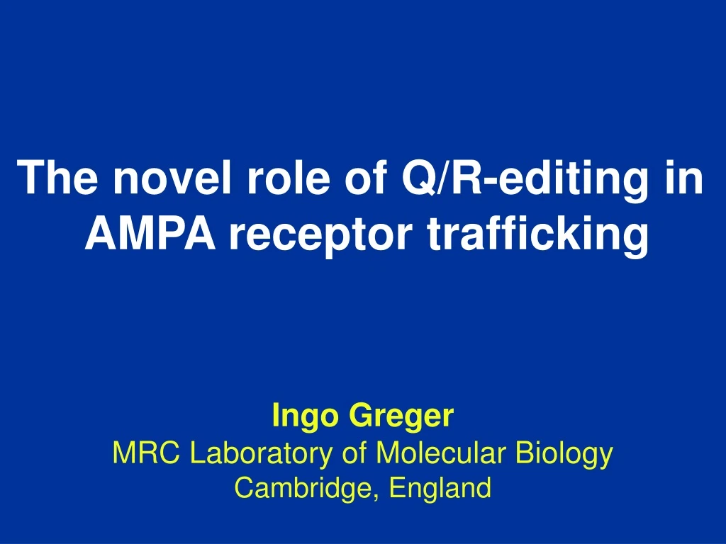 the novel role of q r editing in ampa receptor