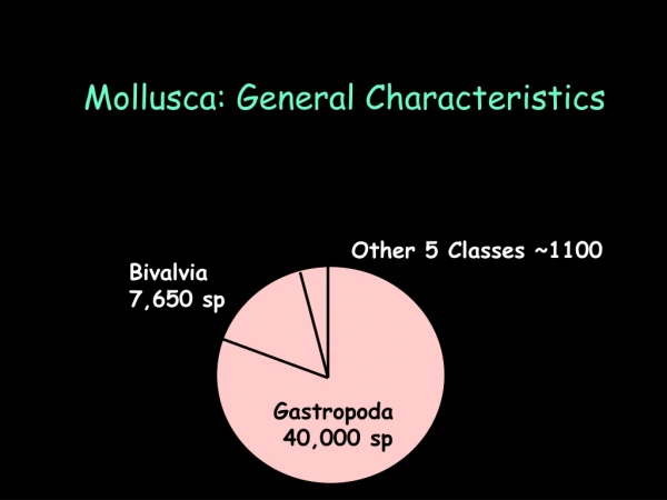Mollusca: General Characteristics