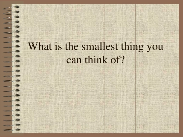 What is the smallest thing you can think of?
