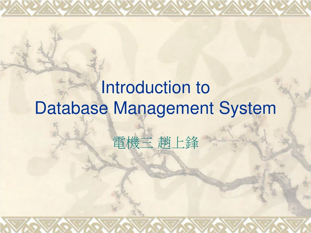 introduction to database management system