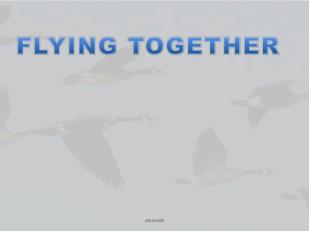 flying together