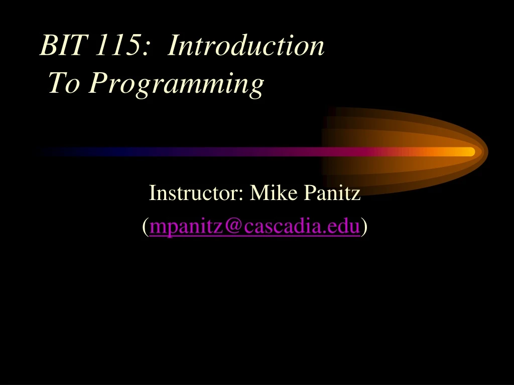 bit 115 introduction to programming