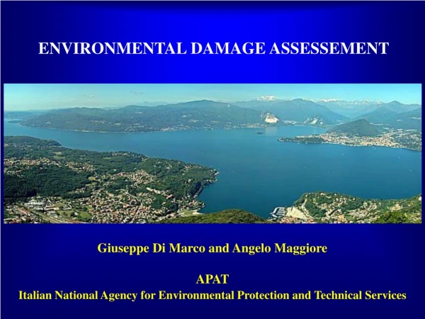 ENVIRONMENTAL DAMAGE ASSESSEMENT