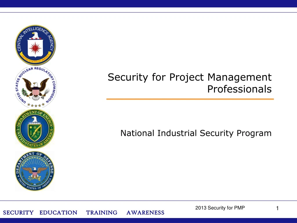 security for project management professionals