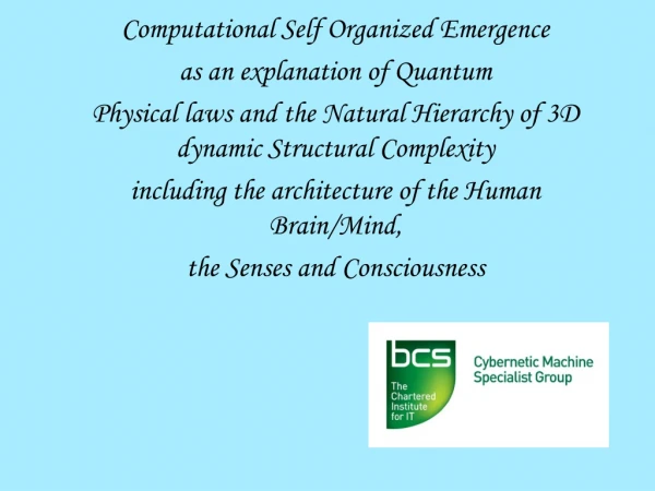 Computational Self Organized Emergence  as an explanation of Quantum