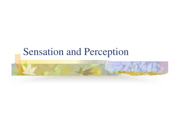 Sensation and Perception