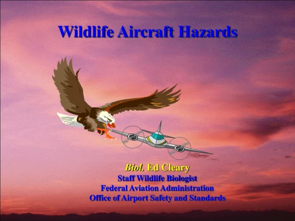 Wildlife Aircraft Hazards