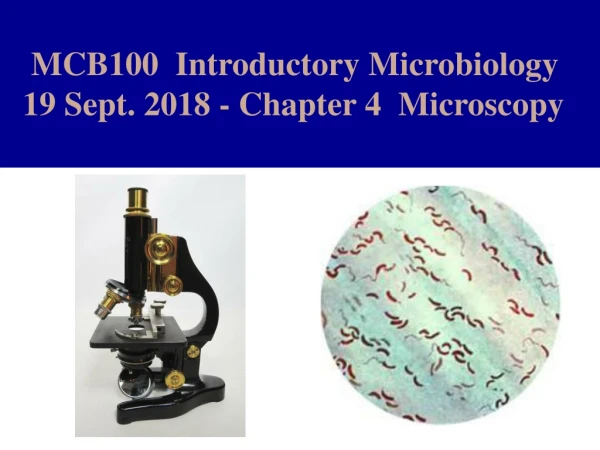 MCB100  Introductory Microbiology   19 Sept. 2018 - Chapter 4  Microscopy