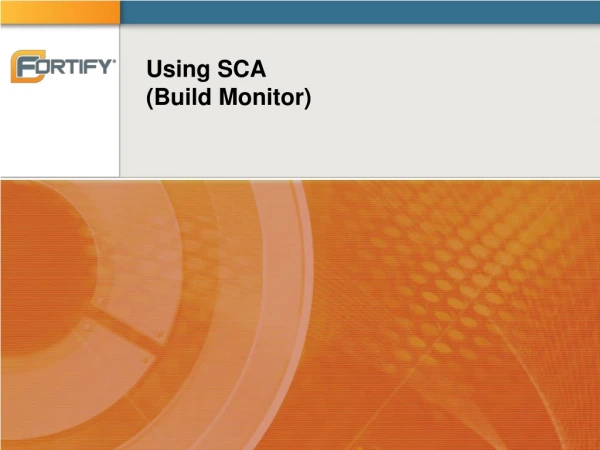 Using SCA (Build Monitor)