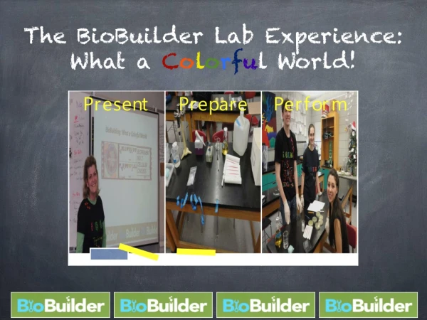 The BioBuilder Lab Experience: What a  C o l o r f u l World!