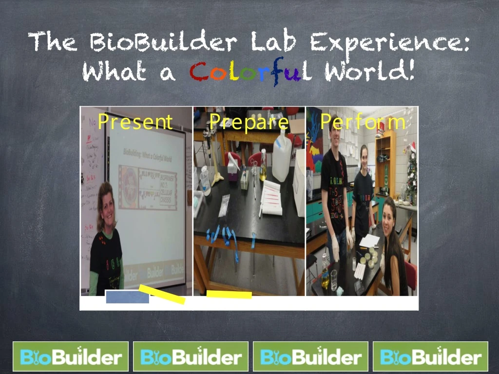 the biobuilder lab experience what a c o l o r f u l world