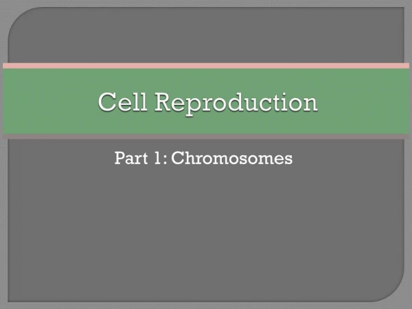 Cell Reproduction