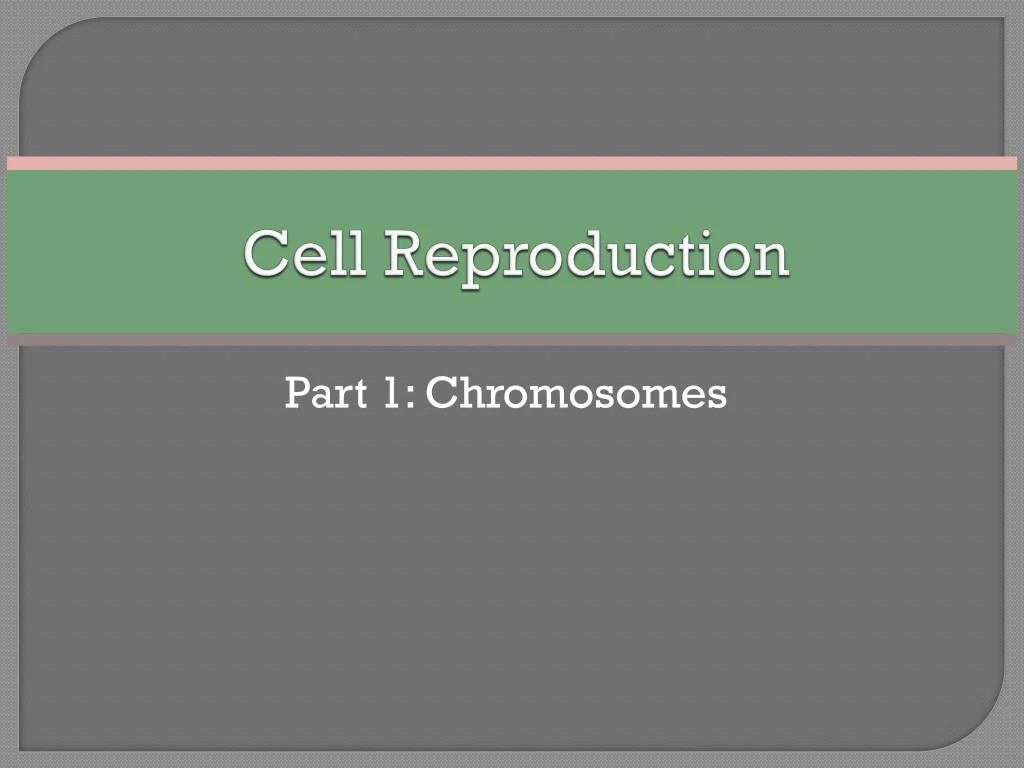 cell reproduction