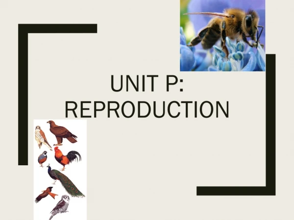 Unit P: Reproduction