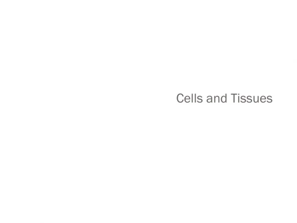 Cells and Tissues