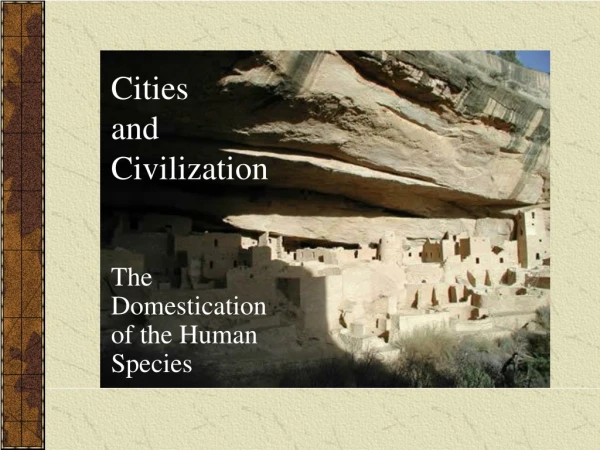 Cities  and Civilization