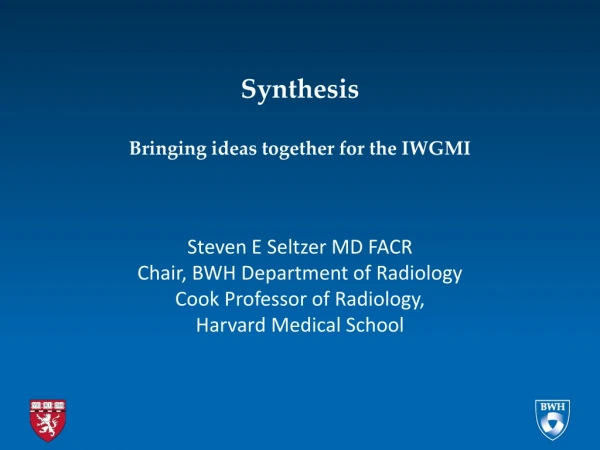 Synthesis Bringing ideas together for the IWGMI