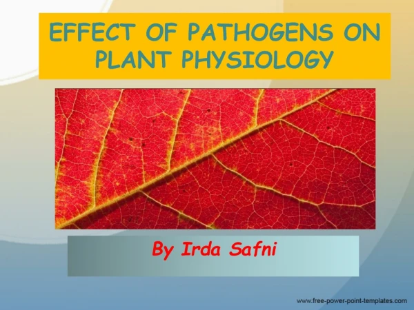 EFFECT OF PATHOGENS ON PLANT PHYSIOLOGY