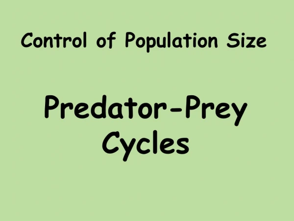 Predator-Prey Cycles