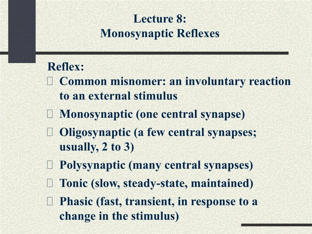 lecture 8 monosynaptic reflexes