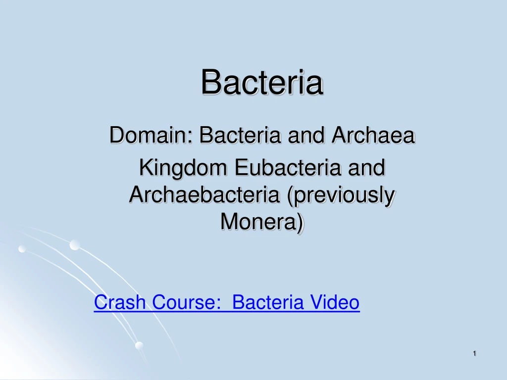 bacteria