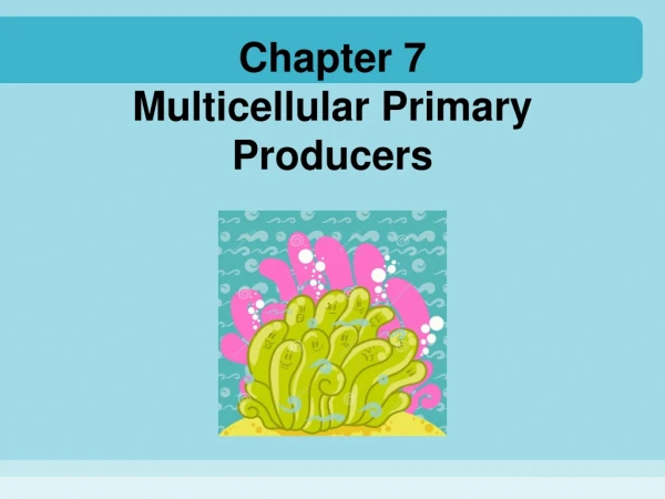 Chapter 7 Multicellular Primary Producers