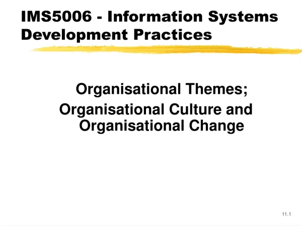 IMS5006 - Information Systems Development Practices