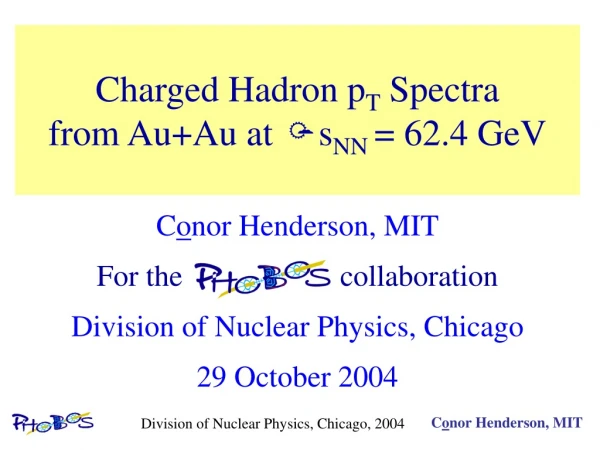 Charged Hadron p T  Spectra  from Au+Au at   s NN  = 62.4 GeV