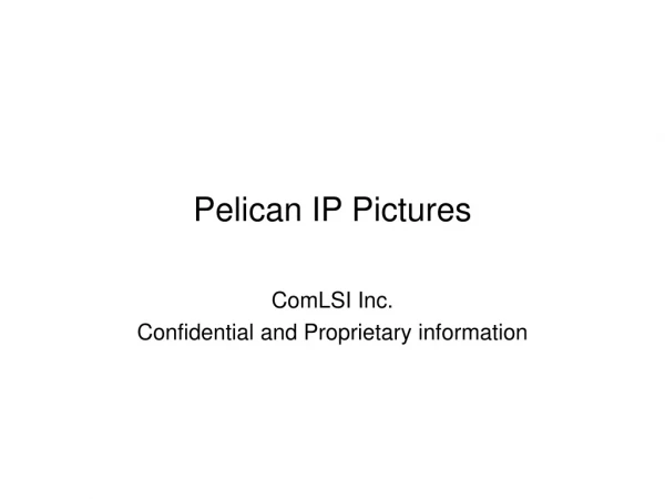 Pelican IP Pictures