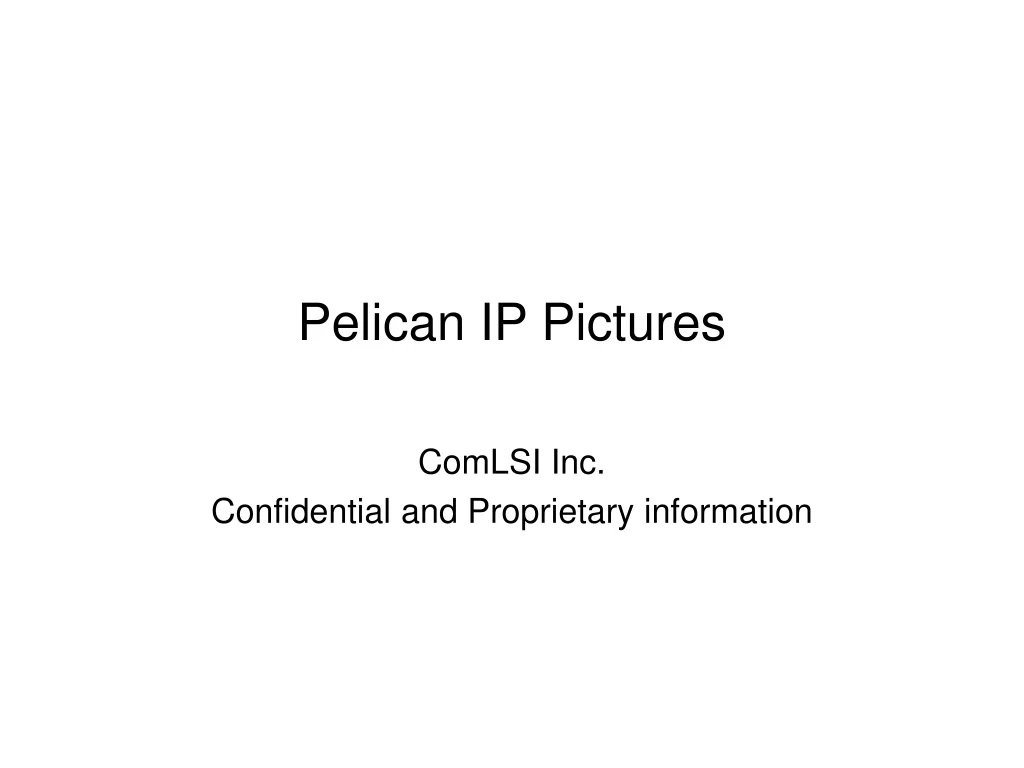 pelican ip pictures
