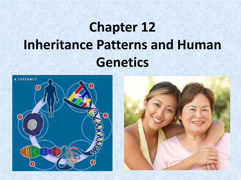 chapter 12 inheritance patterns and human genetics